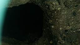 stcronans 2695.jpg